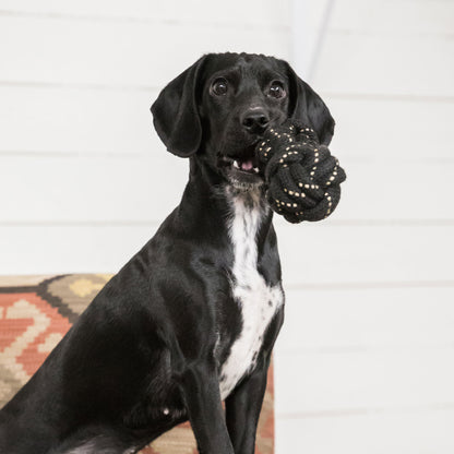 Honden speeltje halter