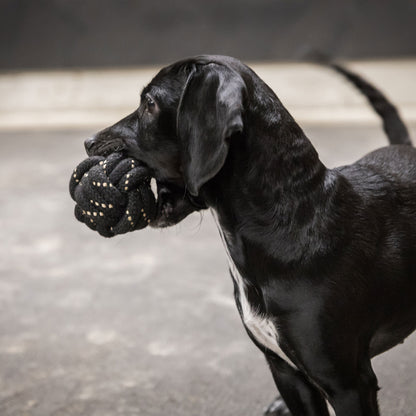 Honden speeltje bal