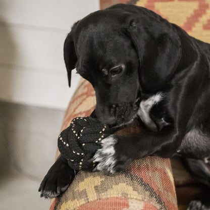 Honden speeltje bal