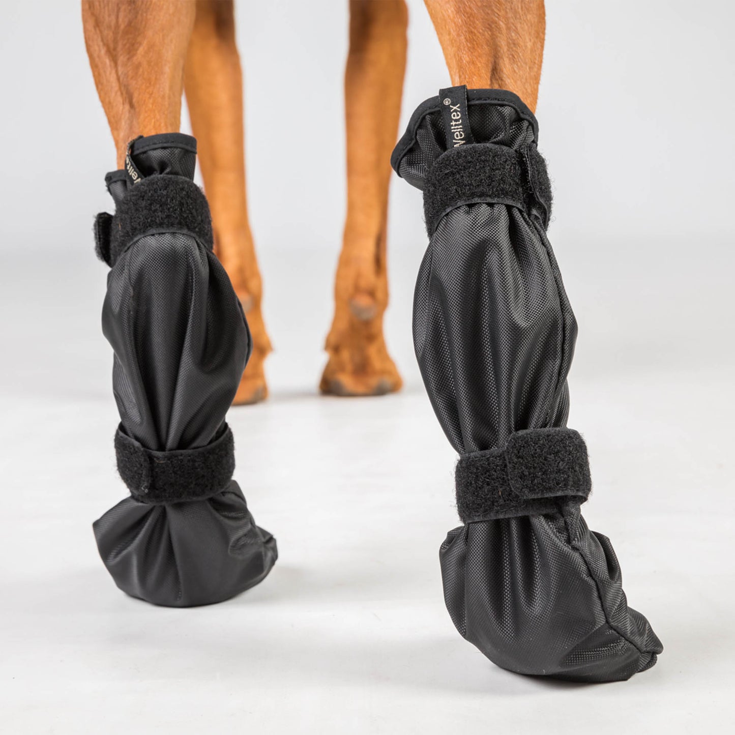 "Lola" huisdierschoenen