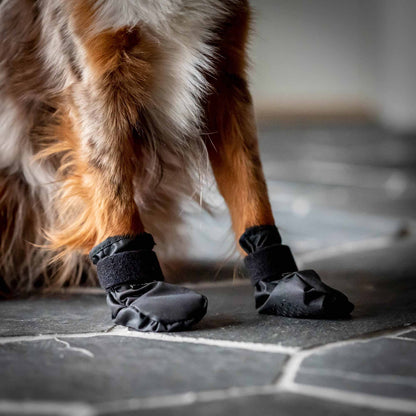 "Koda" dierenschoenen